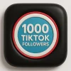 Buy 1000 TikTok followers fast and cheap – high-quality TikTok growth service
